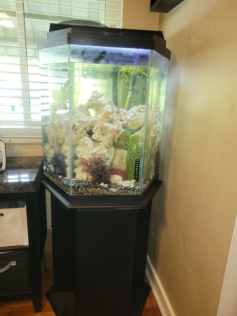 Fish Tank , Stand , And Accessories