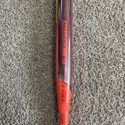 2025 Ghost Double Barrel Bat