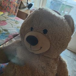 Big Teddy Bear