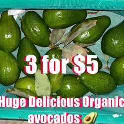 $5 For 3 Huge Avocados 100%Organic and delicious very Healthy for you!