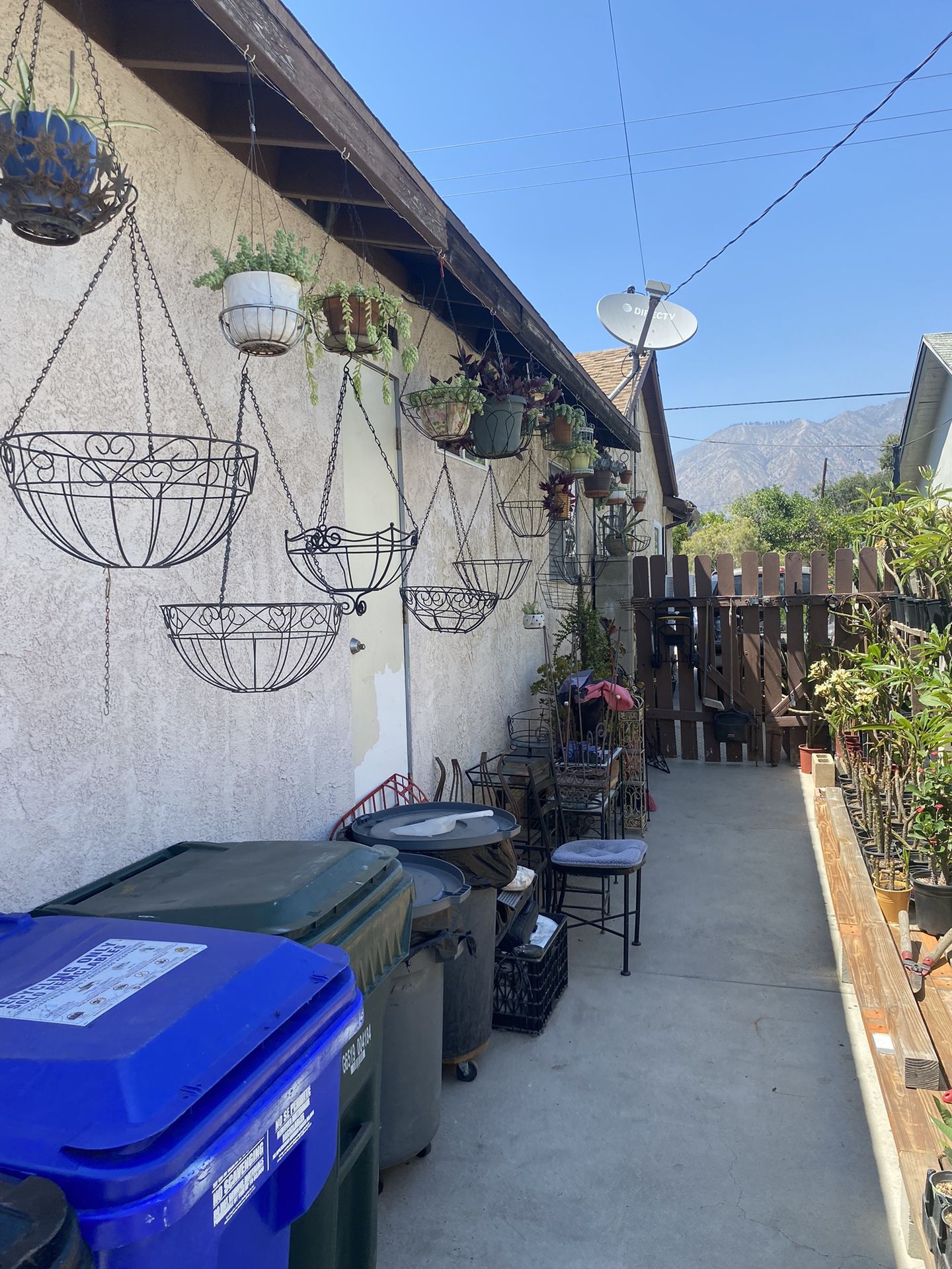 Hanging plant basket