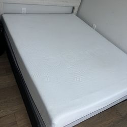 Queen PURPLE Mattress & Box Spring 