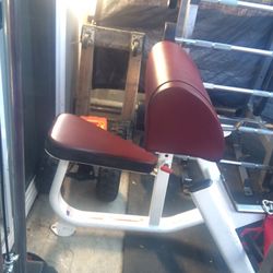 Commercial Preacher Curl