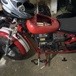 Red Mini Bike Coleman Young adult 