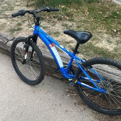 Diamondback Cobra 24