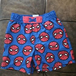 Spiderman Swim Shorts