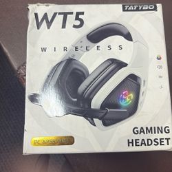 Wireless Gaming Set