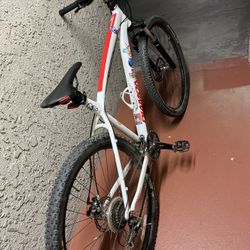 Diamondback Over Drive L 29”