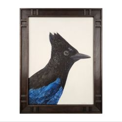 Stellers Jay (2022) Oil On ACM Panel by Contemporary Artist Herb Smith
