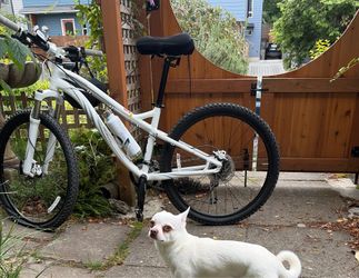 Specialized Mountain Bike White