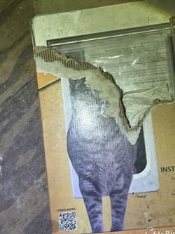 Cat Door