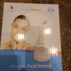 Face Steamer 