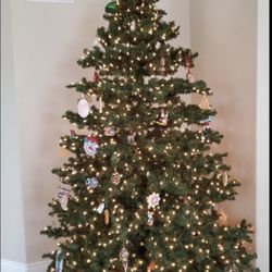 Beautiful Xmas Tree