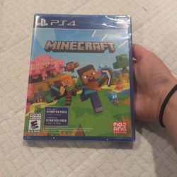 PS4 Minecraft Game