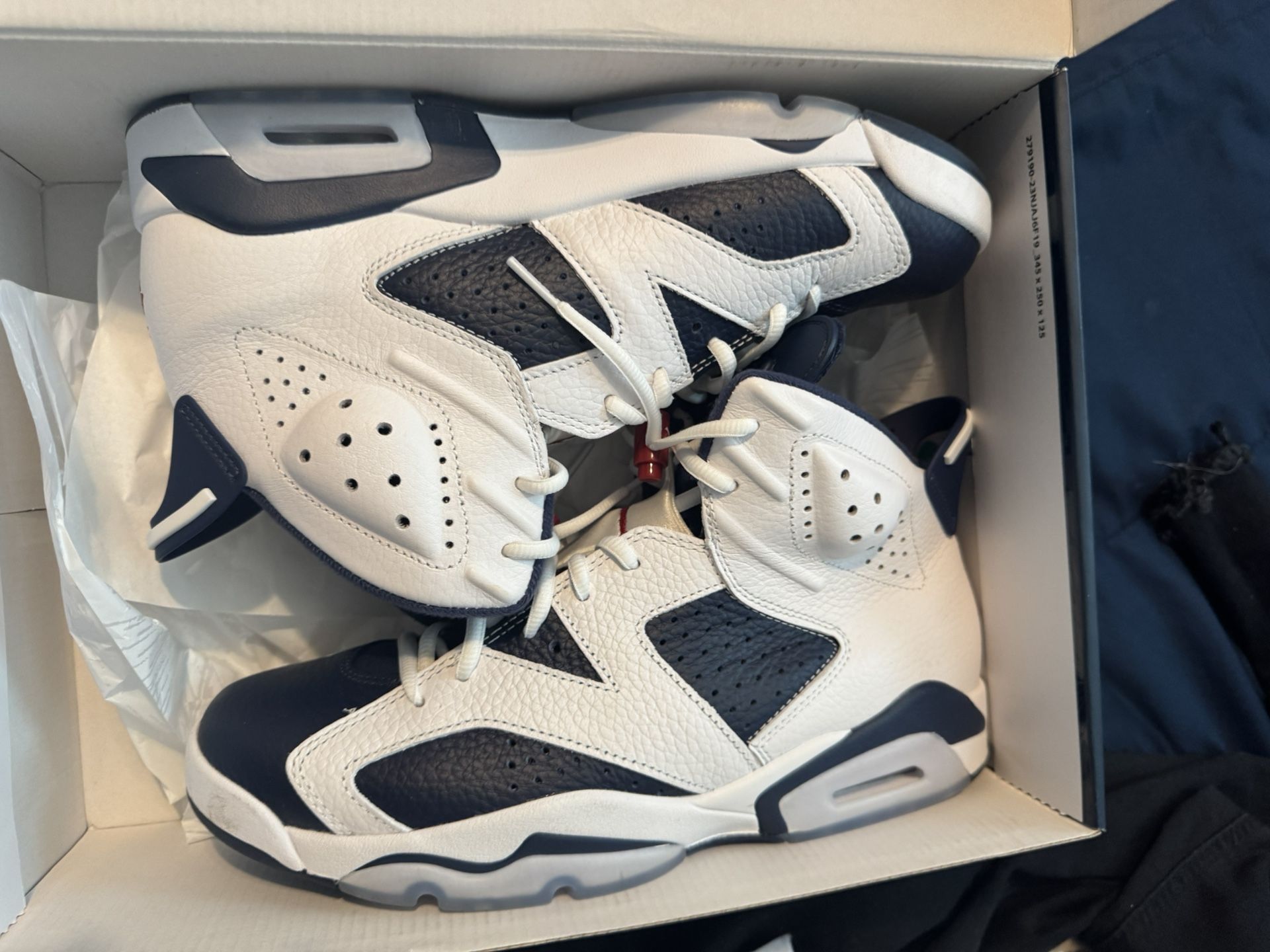Jordan 6 Size 9.5