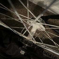 fixie rim