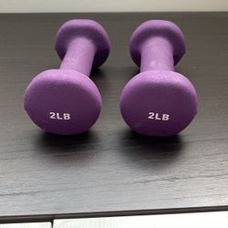 Set Of 2 Pound Weights