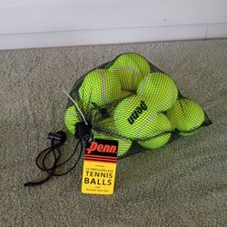 Penn Pressureless Tennis Balls 