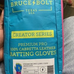 bruce bolt