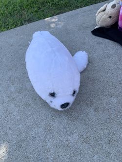 White Seal