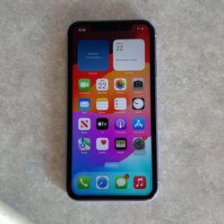 iPhone 11 