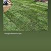 Exquisite Lawn