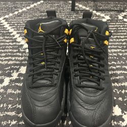 Jordan 12 Taxi Size 9.5