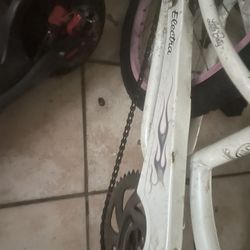 Elektra Bicycle 