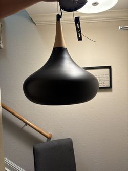 Contemporary Pendant Light