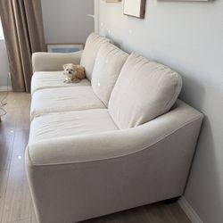 Free Couch & Love Seat