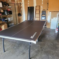 Large Ping Pong Table 