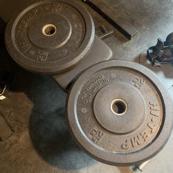 Pair of 25 Lbs olympic bumper plates