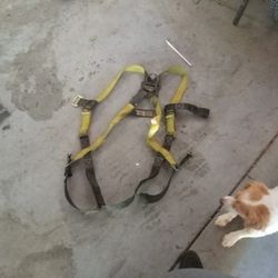 Stretched Harness 