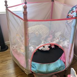 Trampoline For Kids