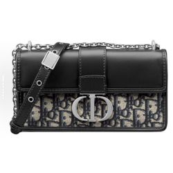 DIOR 30 Montaigne Montaigne East-West Adjustable Detachable Shoulder Strap Buckle Closure Oblique(164)48