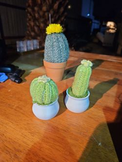 Handmade Crochet Cactus Set of 3