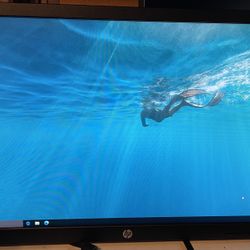 HP N223 21.5” Monitor 
