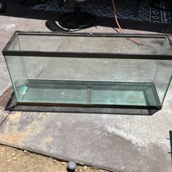55 Gallon Fish Tank