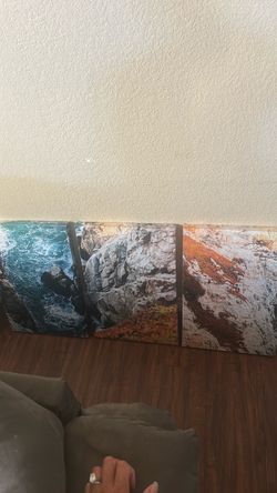 Wall canvas paintings