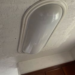Ceiling Fluorescent Lights 