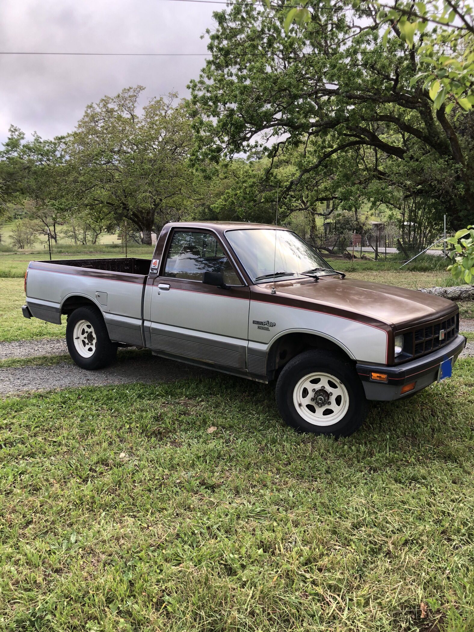 1983 Isuzu Pickup