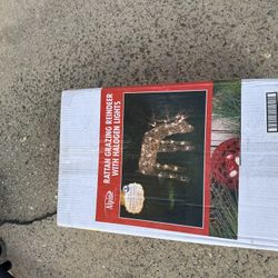 Grazing Deer With Lights. 