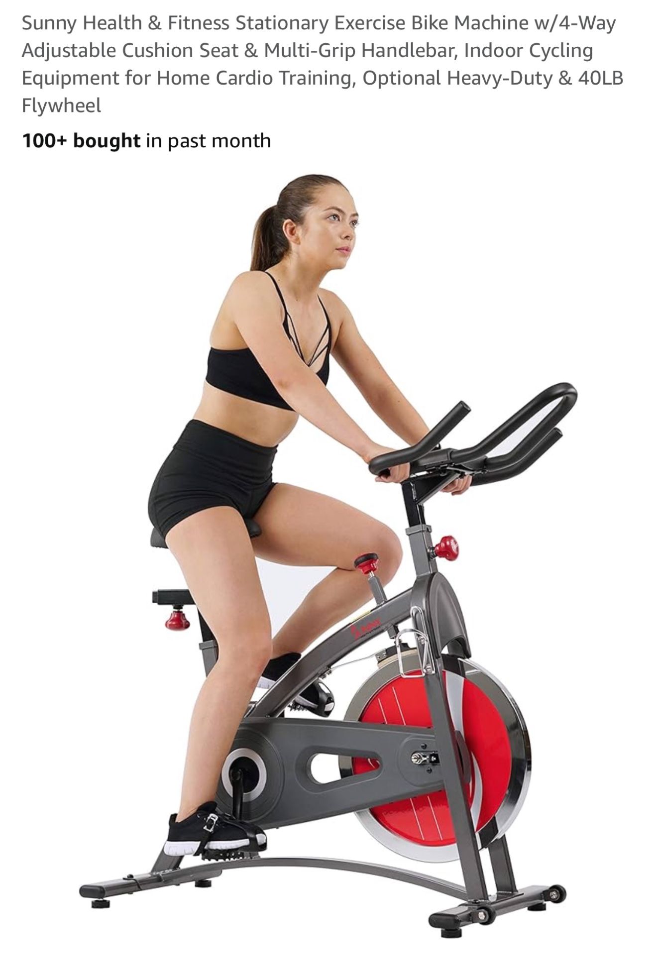Sunny Belt Drive Exercise Bike Indoor Cycling Bike