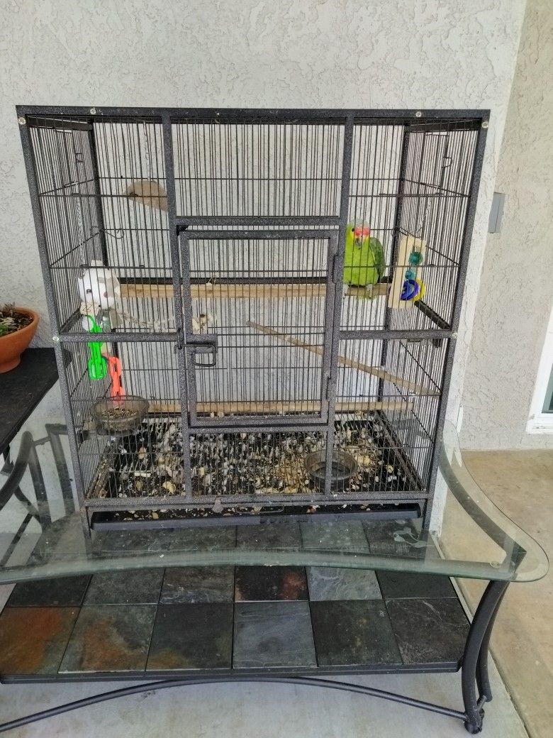 Bird Cage Everything Included