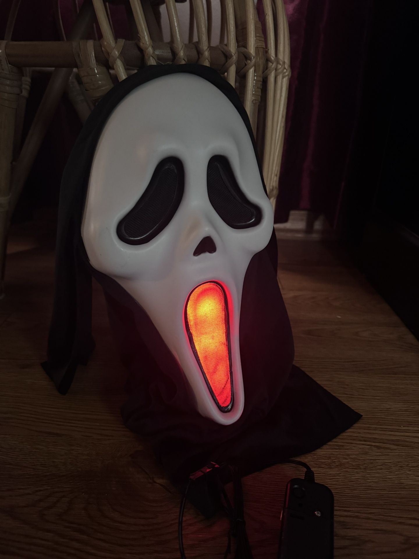 Halloween Costumes