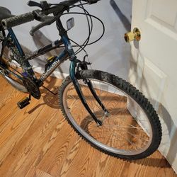 ROADMASTER  Mt FURRY 