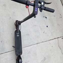 Electric Scooter For Adults