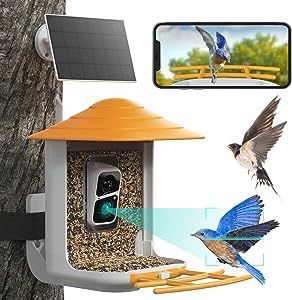 Bird Feeder with Camera