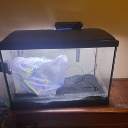 20 Gal Fish Tank With Accessorries