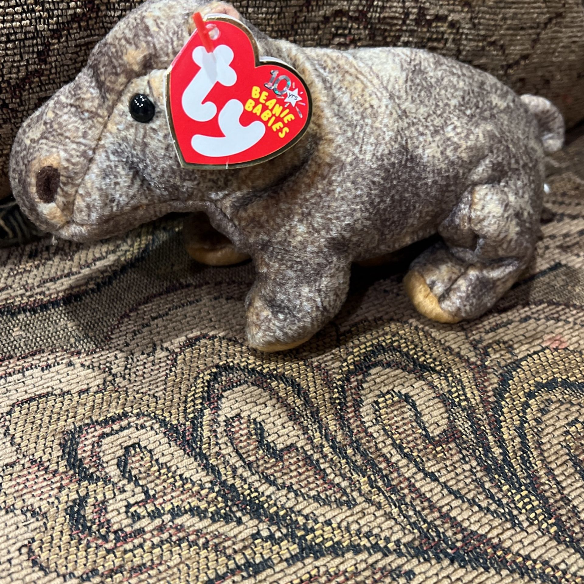 Beanie Babies Collection 